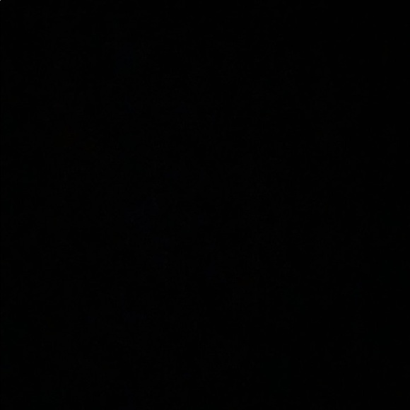 Meet your Posher, Jaylin - Picture 1 of 1